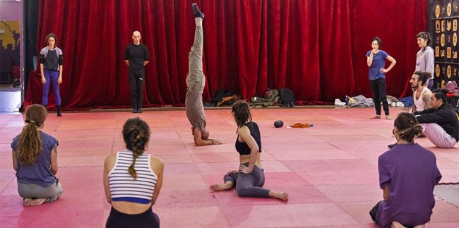 cursos_regulares_circo_25_26