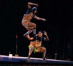 circo_sombra_web